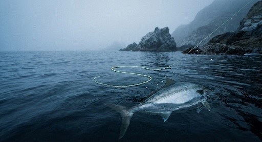 ラインが垂れてS字になっている画像