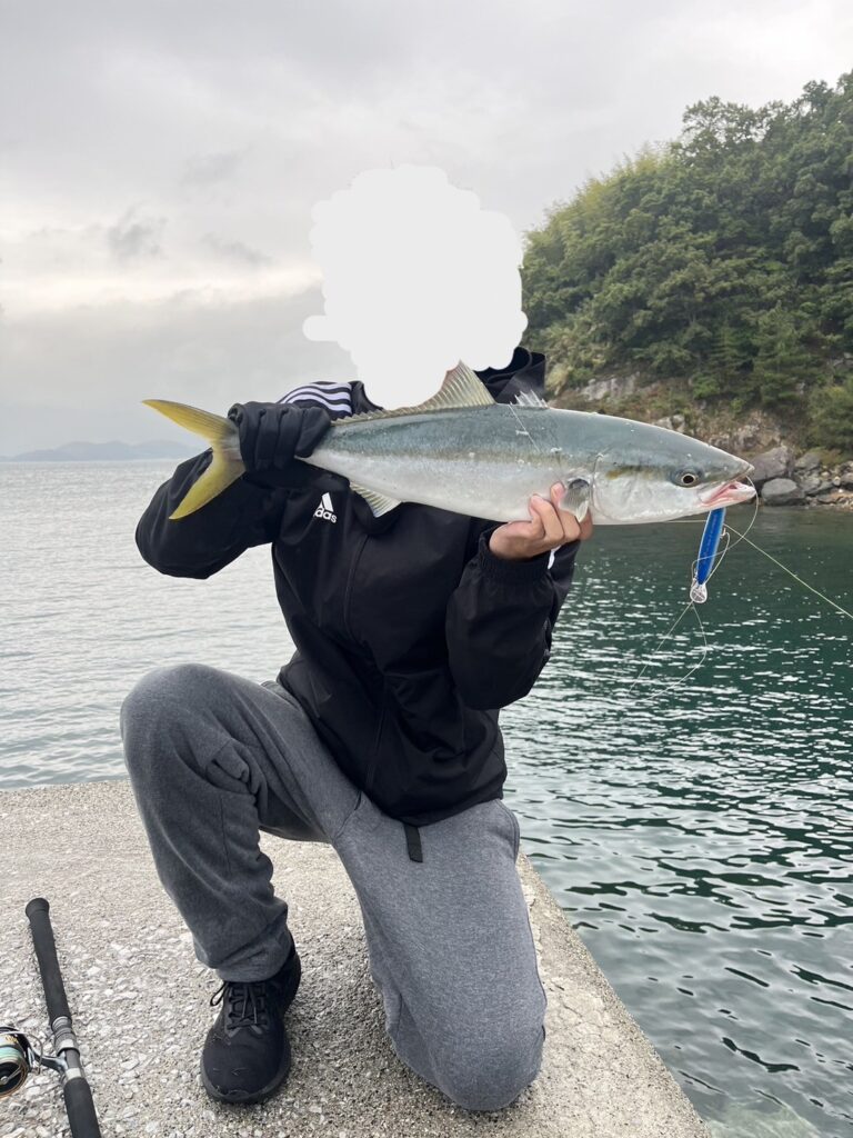 釣ったハマチの写真